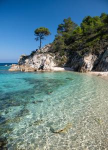 a beach with crystal clear water and a tree on a hill at Bosporus Apartments in Sarti