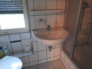 y baño con lavabo y aseo. en Bungalow am Waldbad en Schmannewitz