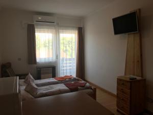 Televízia a/alebo spoločenská miestnosť v ubytovaní Apartman Németh