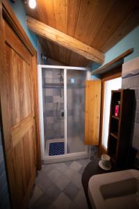 uma casa de banho com um chuveiro e uma porta de vidro em Casa vacanze I Foresti Ca' Ciota em Cartignano
