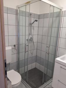 La salle de bains est pourvue d'une douche, de toilettes et d'un lavabo. dans l'établissement Apartments Pineta Franko, à Fažana