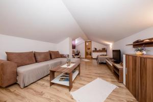 ein Wohnzimmer mit Couch und Fernseher in der Unterkunft Apartment in Mundanije with Seaview, Terrace, Air condition, WIFI (3748-3) in Mundanije