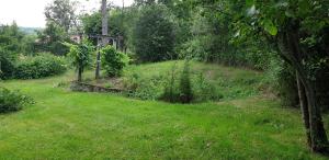 a grassy field with a utility pole on a hill at Maison Fleurie in Coulonges