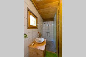 a bathroom with a sink and a shower at Charmant chalet aux portes d'Epinal in Épinal