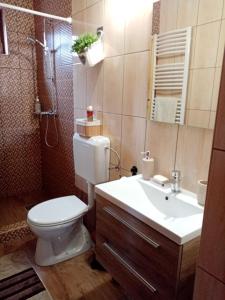 A bathroom at Erdei Szalonka Vendégház
