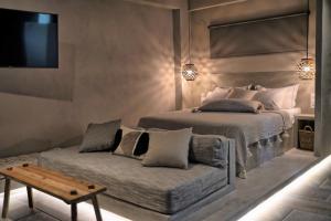 a bedroom with a bed and a couch with a tv at Alterra Vita Eco Villas in Neos Marmaras