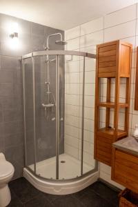 La salle de bains est pourvue d'une douche avec une porte en verre. dans l'établissement Studio in rietgedekte boerderij, geheel privé, hond vriendelijk, à Westerbork