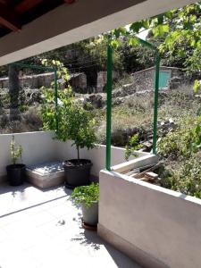Zahrada ubytování Apartman" Afrodita"