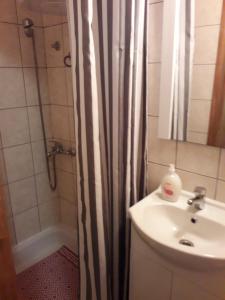 Koupelna v ubytování Apartman" Afrodita" + 34 fotografií