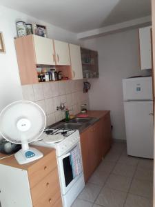 Kuchyň nebo kuchyňský kout v ubytování Apartman" Afrodita"