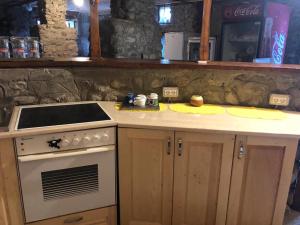 a kitchen with a stove and a counter top at Cabana Elyana Mraconia in Eşelniţa