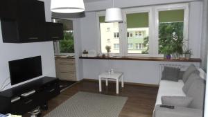 Sjónvarps- og/eða afþreyingartæki á Apartament Aleksander