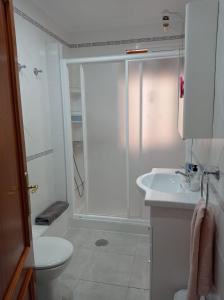 a bathroom with a shower and a toilet and a sink at Piso Grande Mercado Central Alicante in Alicante