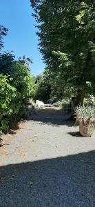 Jardin de l'établissement Les Glycines, charmant studio au calme dans bâtisse de Maître proche du centre ville parking gratuit