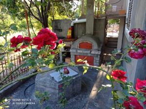 a garden with a brick oven with red roses at Smještaj Elena in Budva