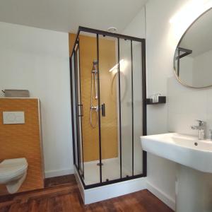a bathroom with a shower and a toilet and a sink at La Maison d'Ingénieur in Loos-en-Gohelle