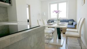 Kuchyň nebo kuchyňský kout v ubytování Apartmán u Louckého kláštera 2 plus KK