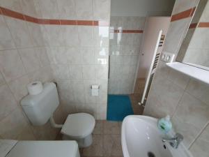 Łazienka z białą toaletą i umywalką w obiekcie Nyíl Apartman wellnes w Debreczynie +7 zdjęć
