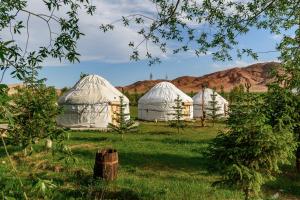 Këk-SayにあるJaichy Yurt Campの山を背景にした畑の二つのドーム