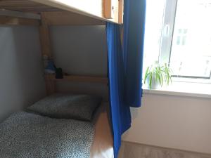 sypialnia z łóżkiem piętrowym i oknem w obiekcie Evergreen Hostel Krakow w Krakowie