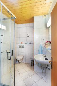 een badkamer met een toilet en een wastafel bij Ferienhaus "Zur Alten Schule" in Mittelndorf