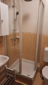 Kúpeľňa v ubytovaní 4Season Apartman