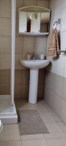 y baño con lavabo y espejo. en Το Σπίτι του Προκόπη, en Nicosia
