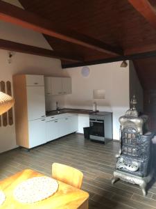 Kuchyň nebo kuchyňský kout v ubytování Apartmany Slavkovice-Lipno + 21 fotografií