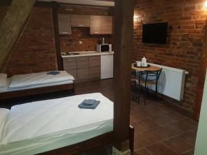 Kuchnia lub aneks kuchenny w obiekcie Penzion na statku Březová