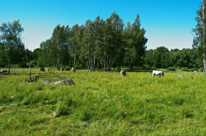 Φωτογραφία από το άλμπουμ του Gäststugan σε Skara +17 φωτογραφίες