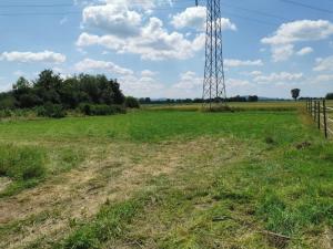 a field with a electricity tower in the middle of a field at Wohnung auf dem Pferdehof in Mahlberg