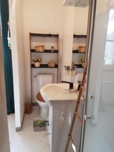 uma casa de banho com um lavatório e um WC em Libre à vous ... em Félines-Termenès