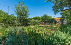Zahrada ubytování Casa Ajla with private Pool