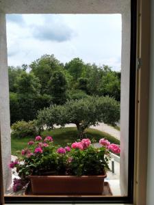 - une fenêtre donnant sur un jardin avec des fleurs roses dans l'établissement Antico Melo B&B, à Vignole