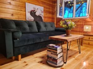 Imagen de la galería de Pod Czarnym Dzięciołem - dom z widokiem i prywatną balią, en Mazówki 37 fotos más