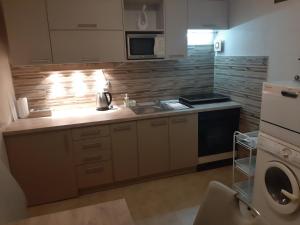 Kuchyňa alebo kuchynka v ubytovaní Apartmán Hanka