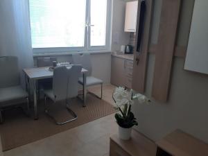 Fotografia z galérie ubytovania Apartmán Hanka v Znojme