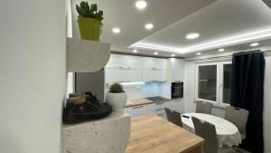 Kuchyň nebo kuchyňský kout v ubytování Luxury APARTMAN BILI