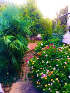 a garden with colorful flowers and a palm tree at Madison hall,near the Athens airport in Spata