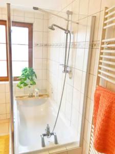 a shower in a bathroom with a tub at Charming apartment Basel border - 3 bedrooms in Hégenheim