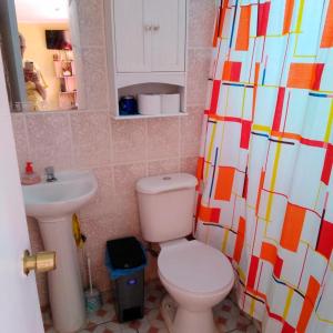 a bathroom with a toilet and a shower curtain at Cabaña Oasis de Pica in Pica