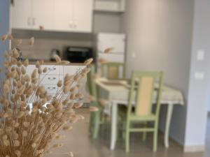 Η κουζίνα ή μικρή κουζίνα στο Divjaka Apartments 2 - City Center