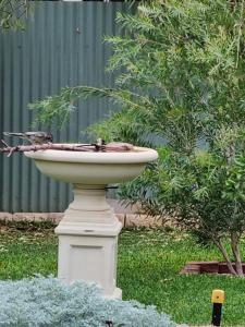 Zahrada ubytování Allora House Kalgoorlie