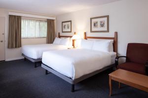 维多利亚Robin Hood Inn and Suites的酒店客房,配有两张床和椅子