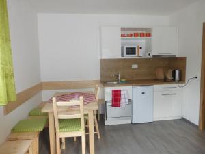 A kitchen or kitchenette at Apartment Obertraun