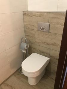 a bathroom with a white toilet in a room at Schöne Ferienwohnung im Südschwarzwald in Herrischried