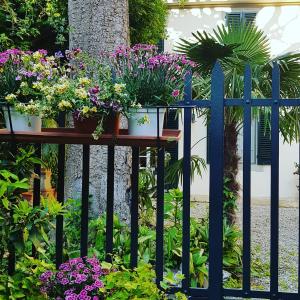 Zahrada ubytování Corte Meraviglia - Relais