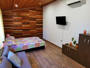 Televízia a/alebo spoločenská miestnosť v ubytovaní Apartment Kika