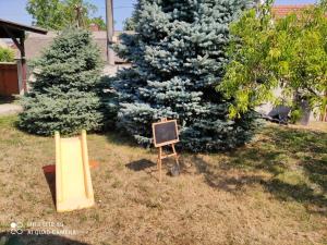 Galeriebild der Unterkunft Samostatný rodinný dom in Veľký Meder