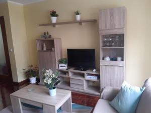 TV a/nebo společenská místnost v ubytování Piso Montesol